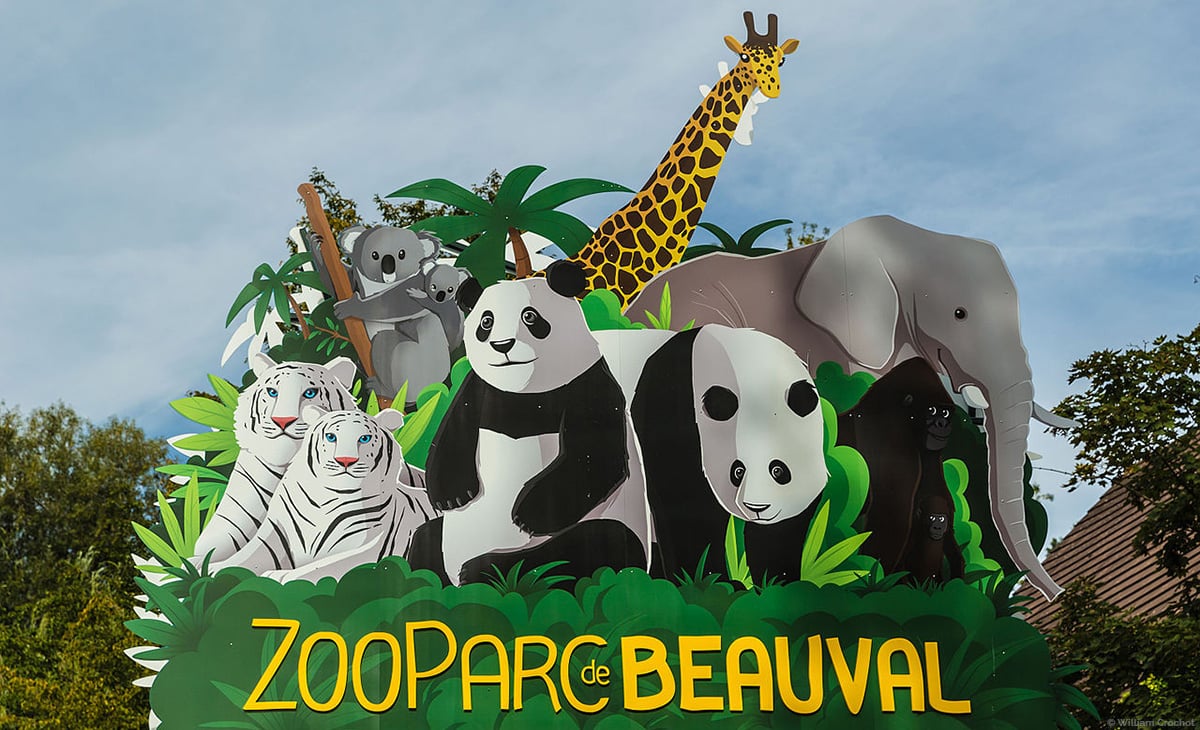 Une visite au Zoo de Beauval